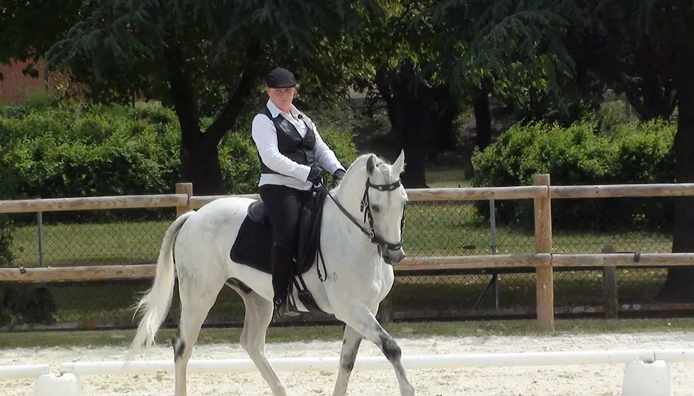 Ecurieterranaise