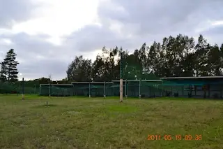 New Sky Golf Range