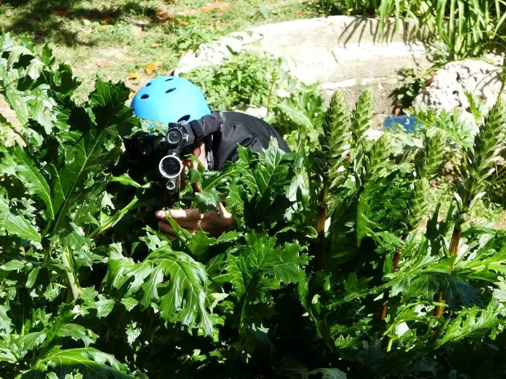 Laser Forest Game