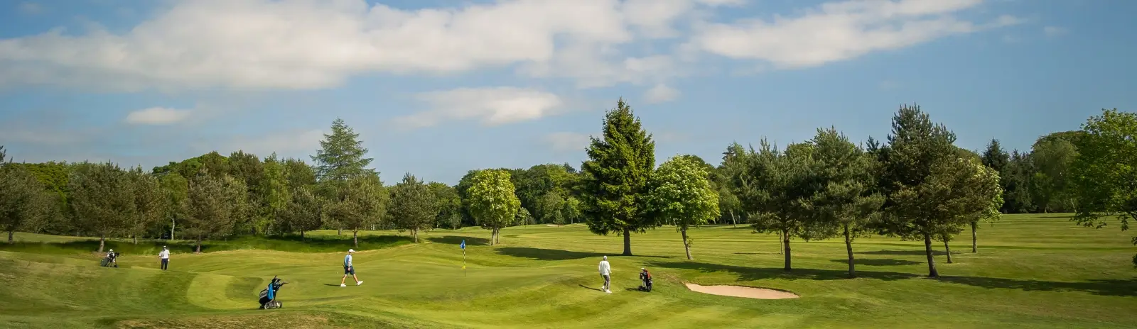 Scottish Golf