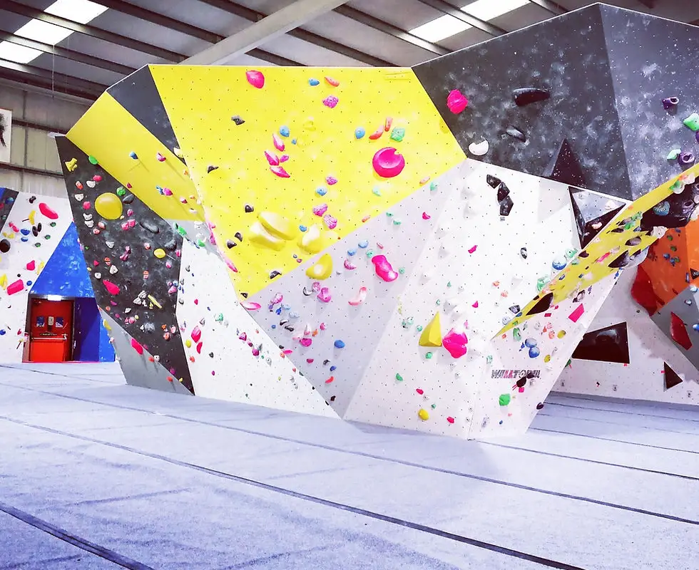 Advanced Climbing Solutions - Climbing Wall Safety Inspections and Maintenance Services.