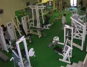 SDL Musclub