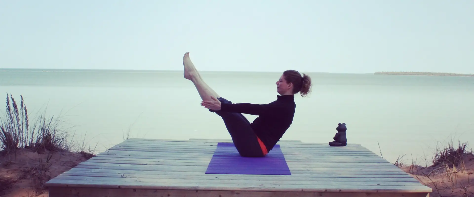 Superior Coaching and Wellness Solutions