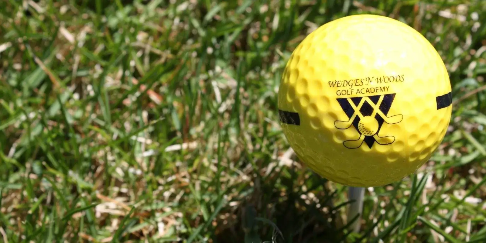 Wedges 'N Woods Golf Academy