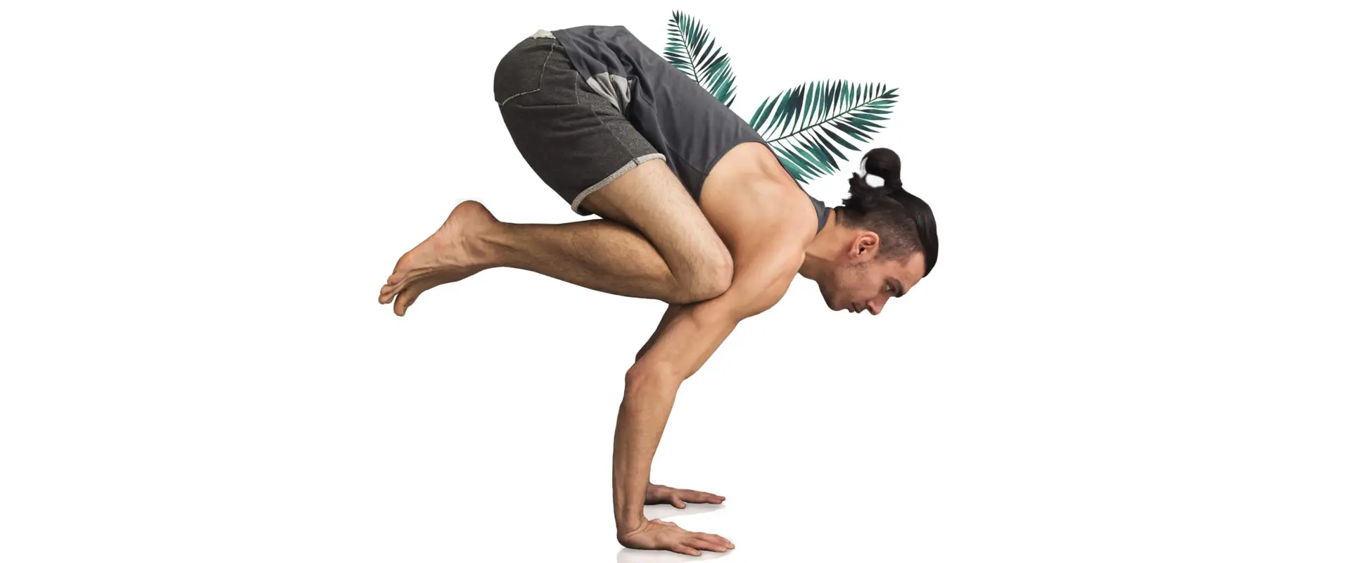 Académie Yoga Ayurveda Sagesse & Harmonie