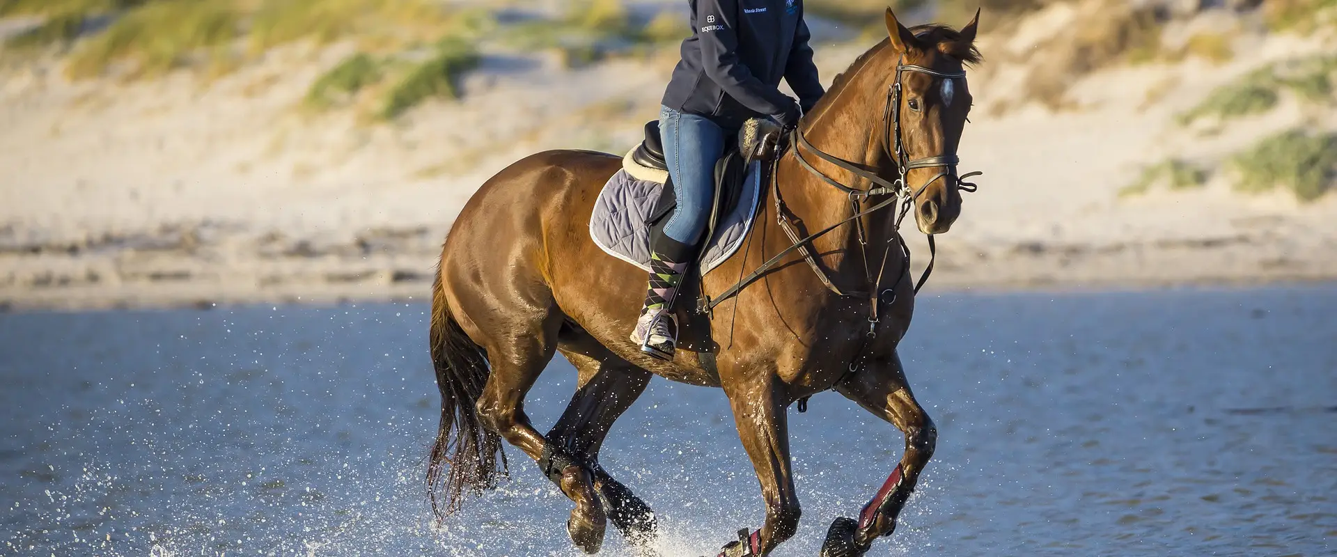 Carinya Park Equestrian Centre