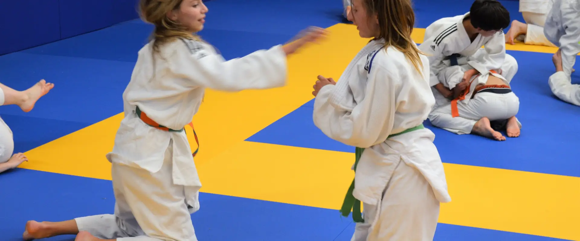 DOJO ESSARTAIS