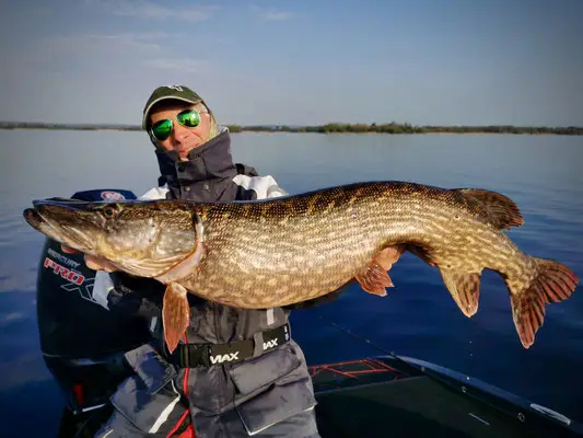 Predatorguiding Ltd