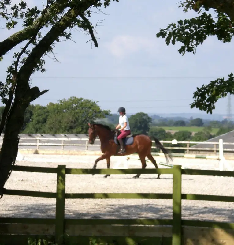 Hitts Barton Equestrian
