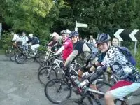 Crazy Wood VTT