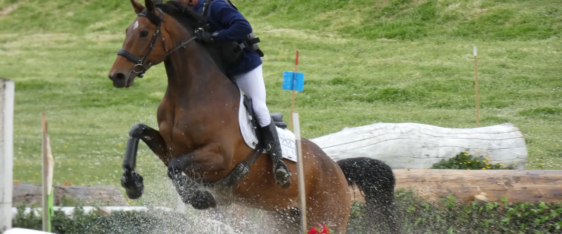Favi Equitation