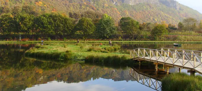 Willowgate Trout & Salmon Fishery