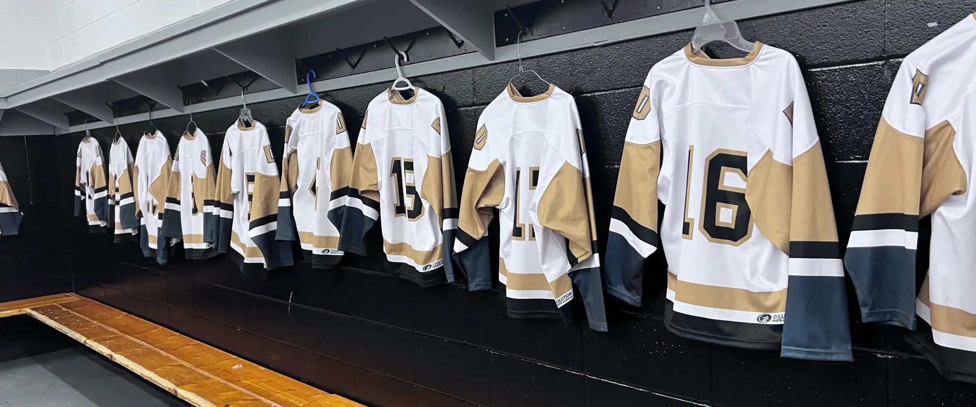 Devon Minor Hockey Association