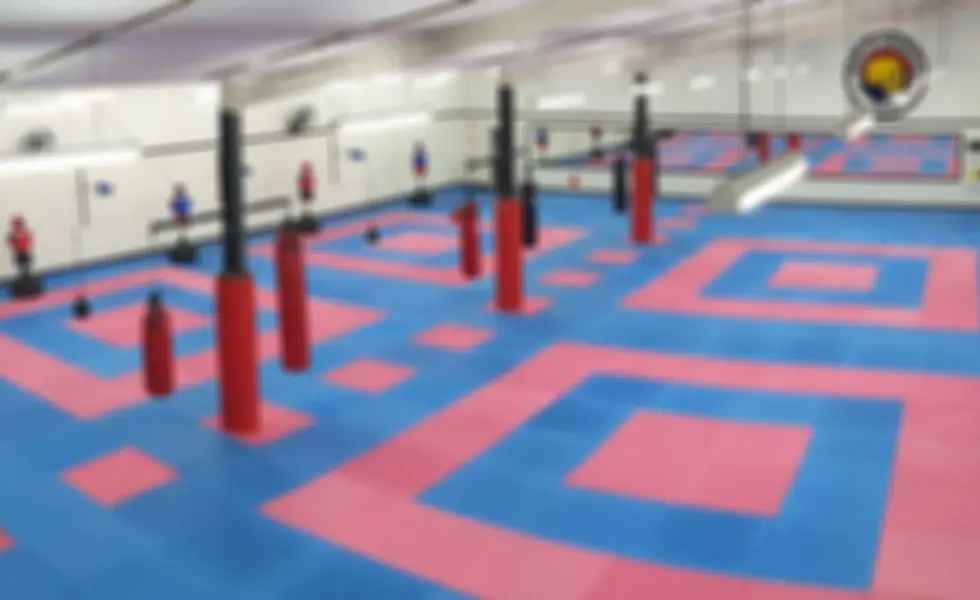 Moon Lee Tae Kwon Do Martial Arts Club