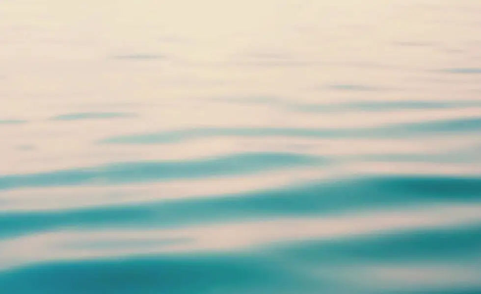 Rosa Scagliola