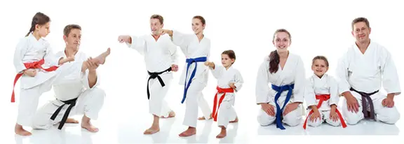 Makenki Karate Clubs