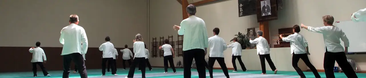 Tai Chi Chuan Lyon 6è