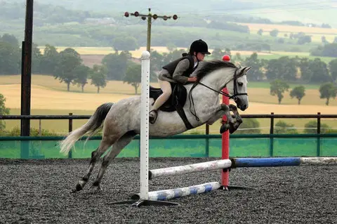 Muirhead Stables