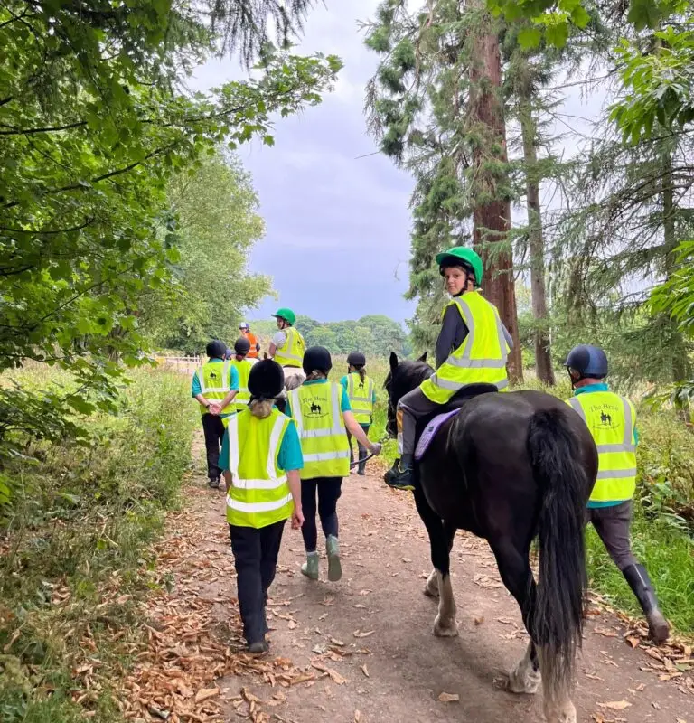 The Brae Riding for the Disabled