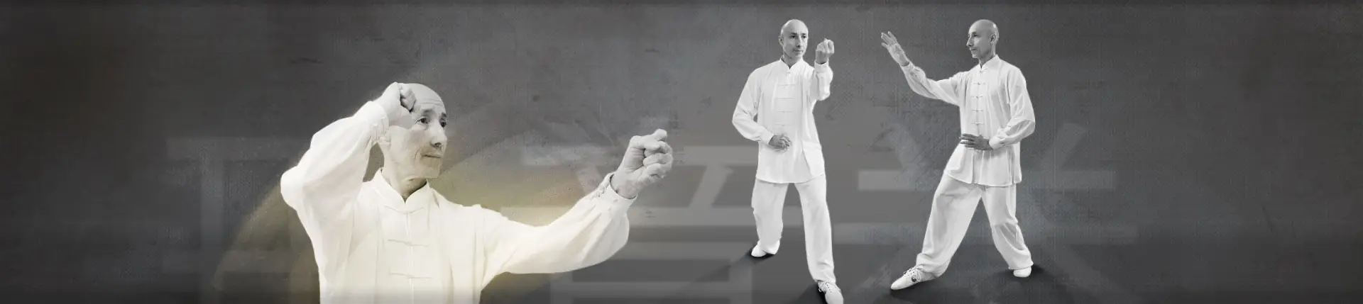 Aikido Taichi Gradignan