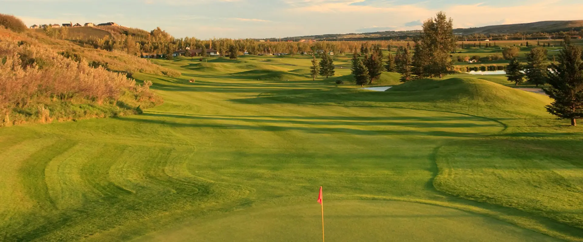 McKenzie Meadows Golf Club