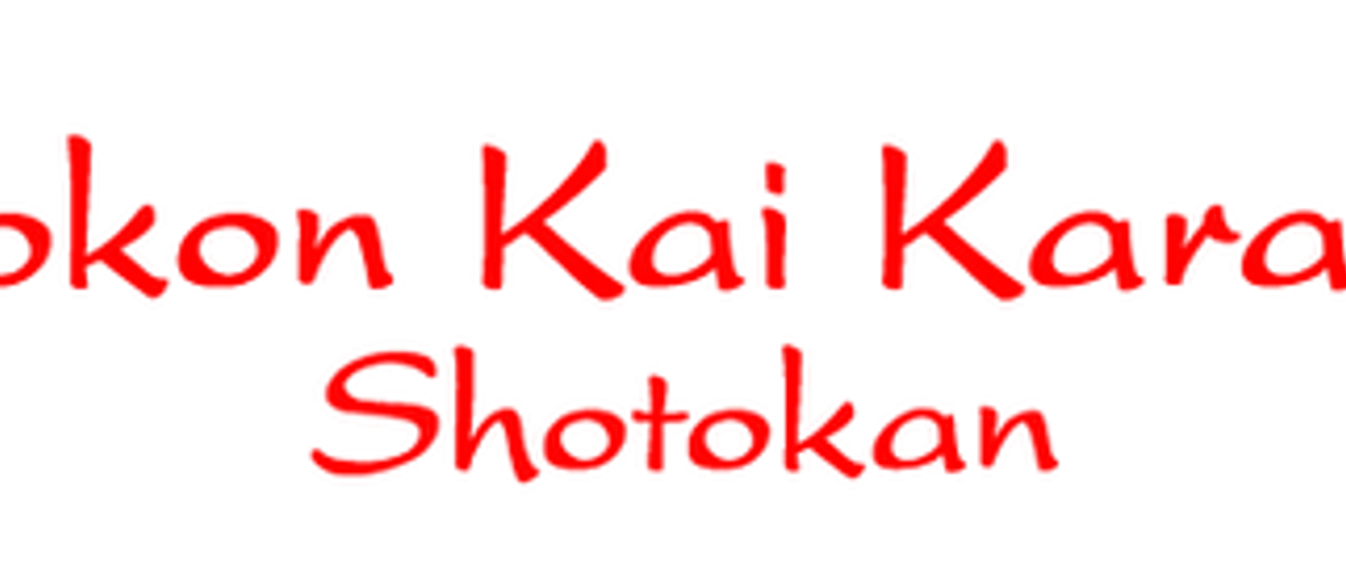 Tokon Kai Karate Association-Langdon Hills