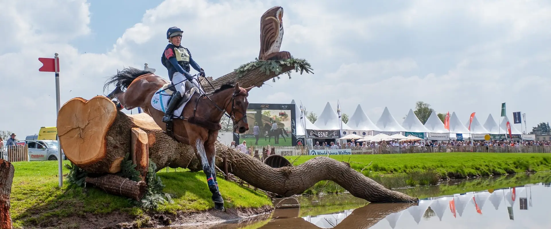 KATE HONEY EVENTING & Meridian Sport Horses
