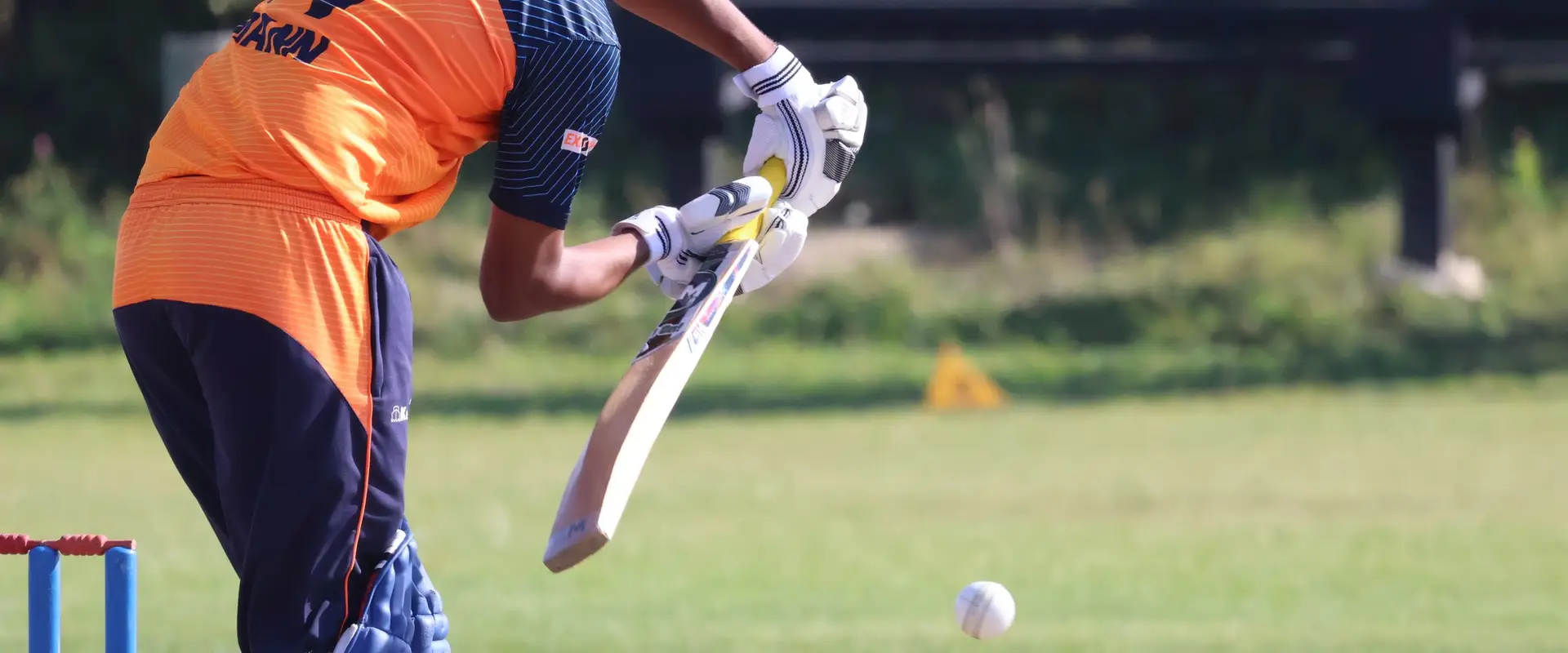 Ontario Cricket Academy & Club