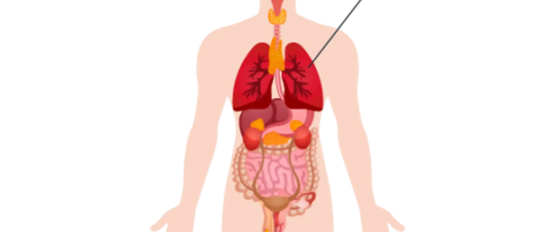 Shree Ayurvedic Multispeciality Hospital - West Mambalam