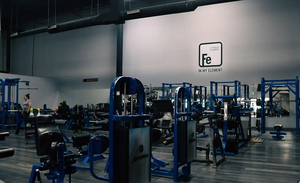 Fitness Element