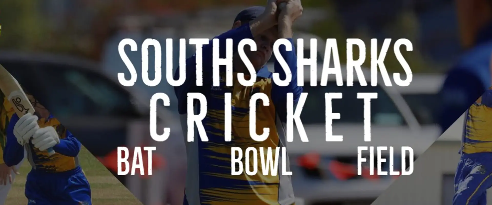 Southern Suburbs Cricket Club Mackay Inc