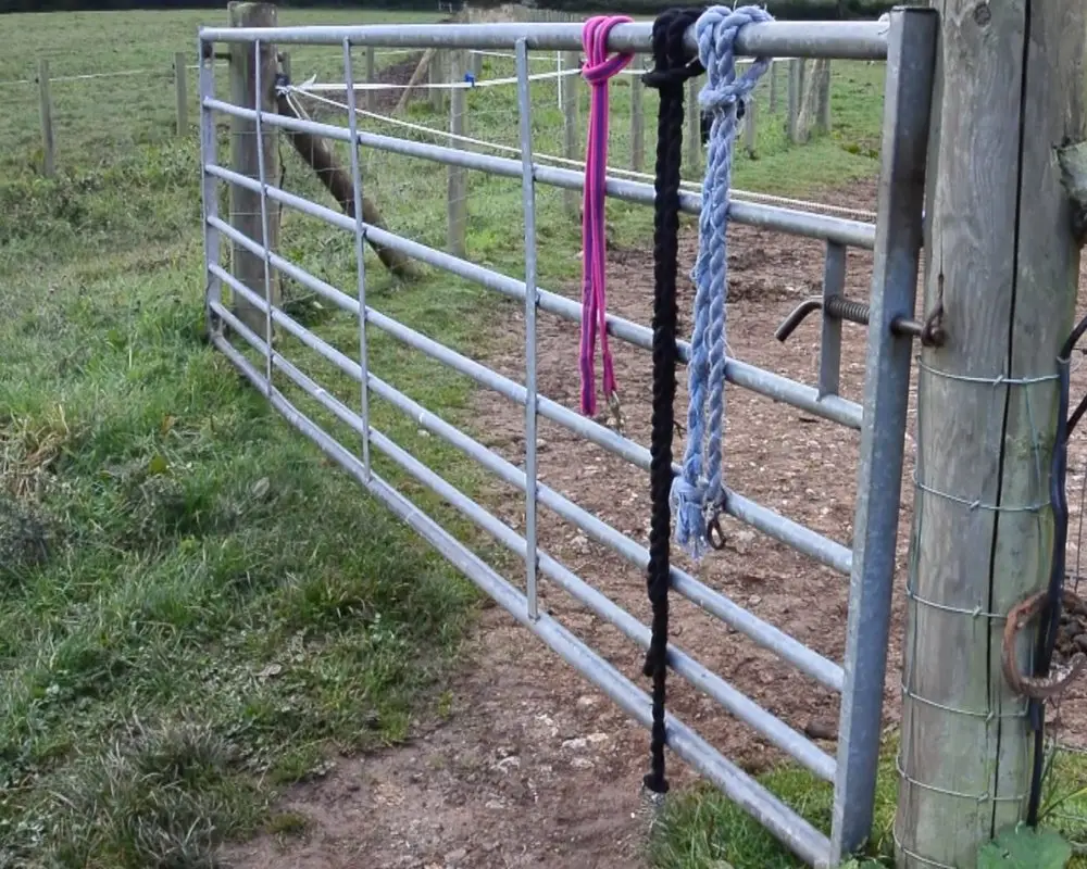 Ivy House Stables