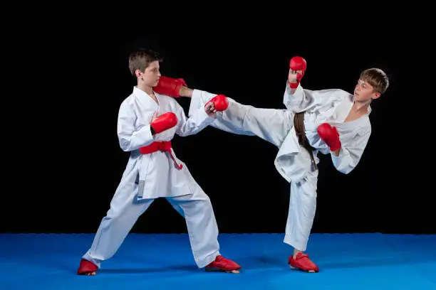 Karate Remuera