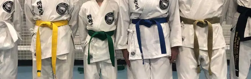 Shimjang Taekwondo Academy