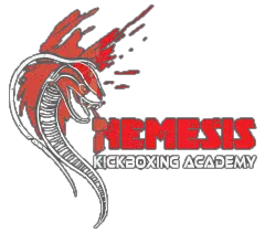 Nemesis Kickboxing Academy