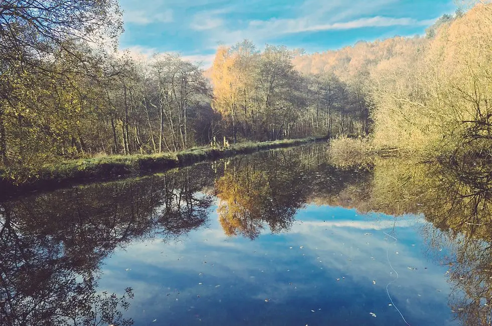 Pickering Fishery Association