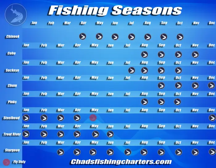 Chad's Fishing Charters