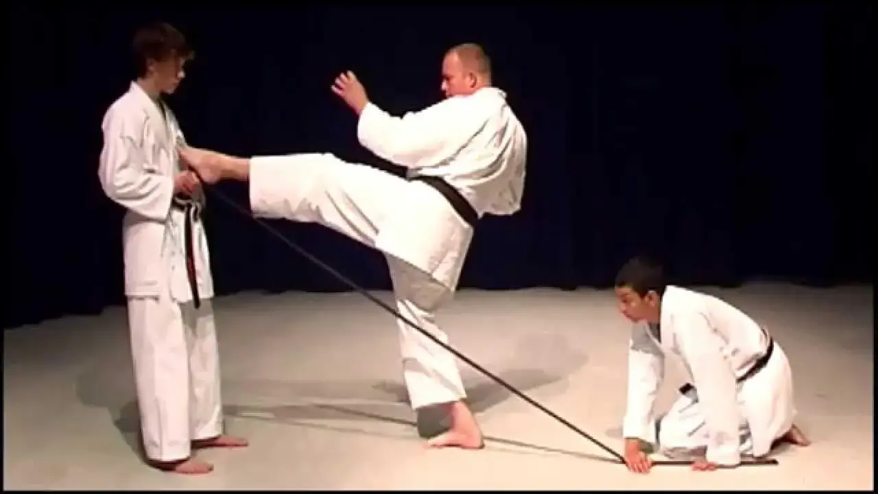 Shotokan Karate Online