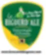 Festival rugby à 5 Pyrénées
