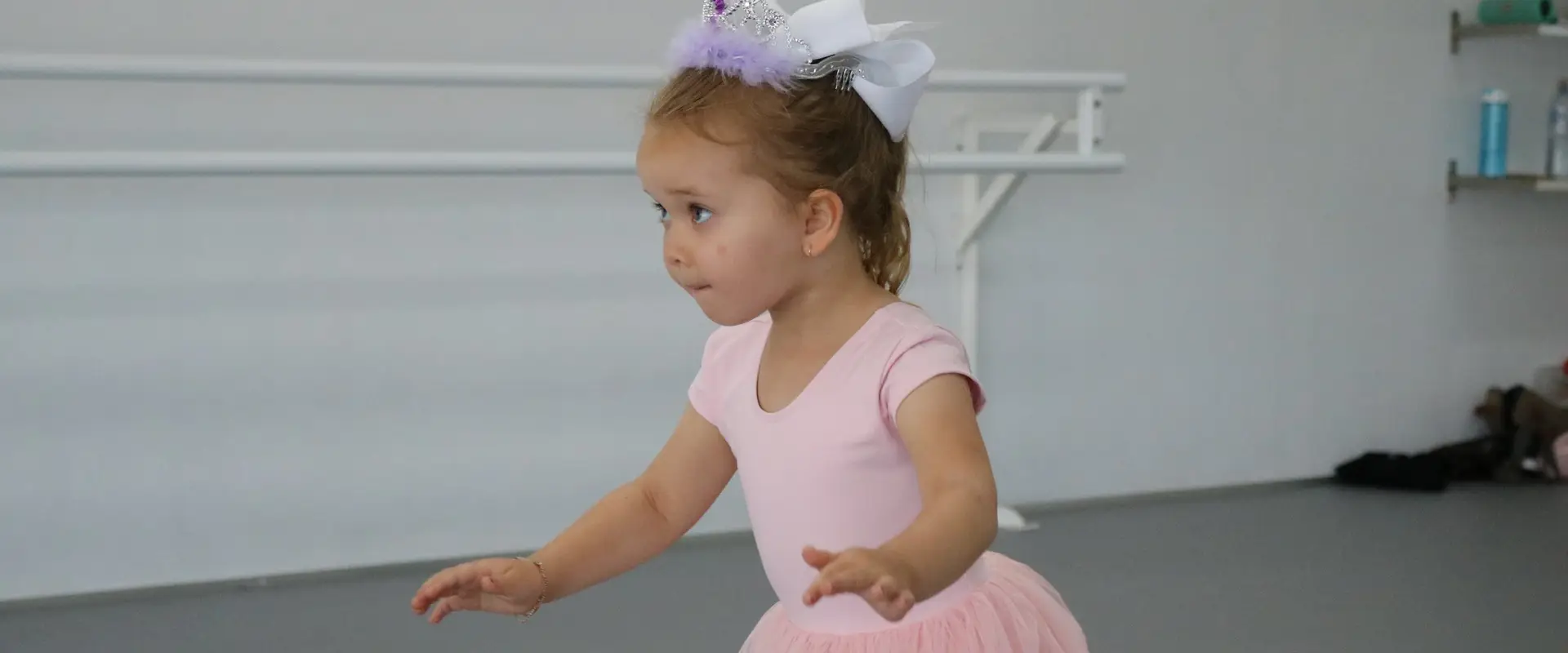 Cygnets Dance