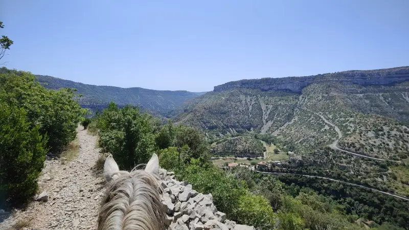 Cavalquinta