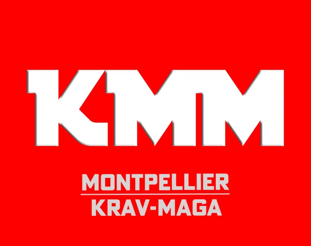KMFDA (Krav Maga Federation & Disciplines Associees)