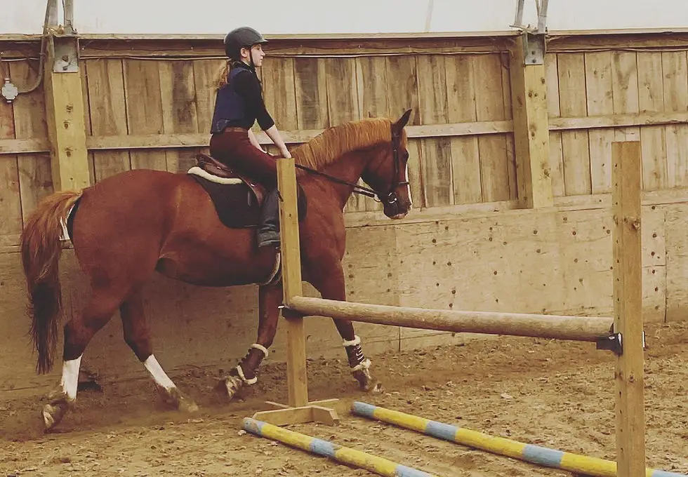 Allbright Equestrian Centre