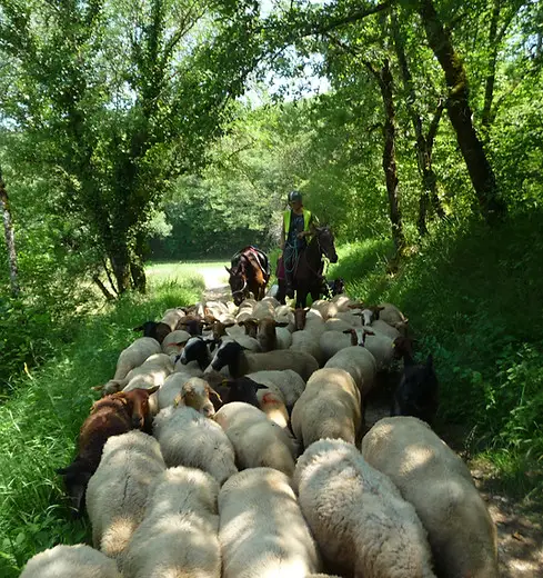 Échappée pastorale