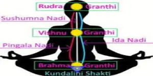 Yoga Theus