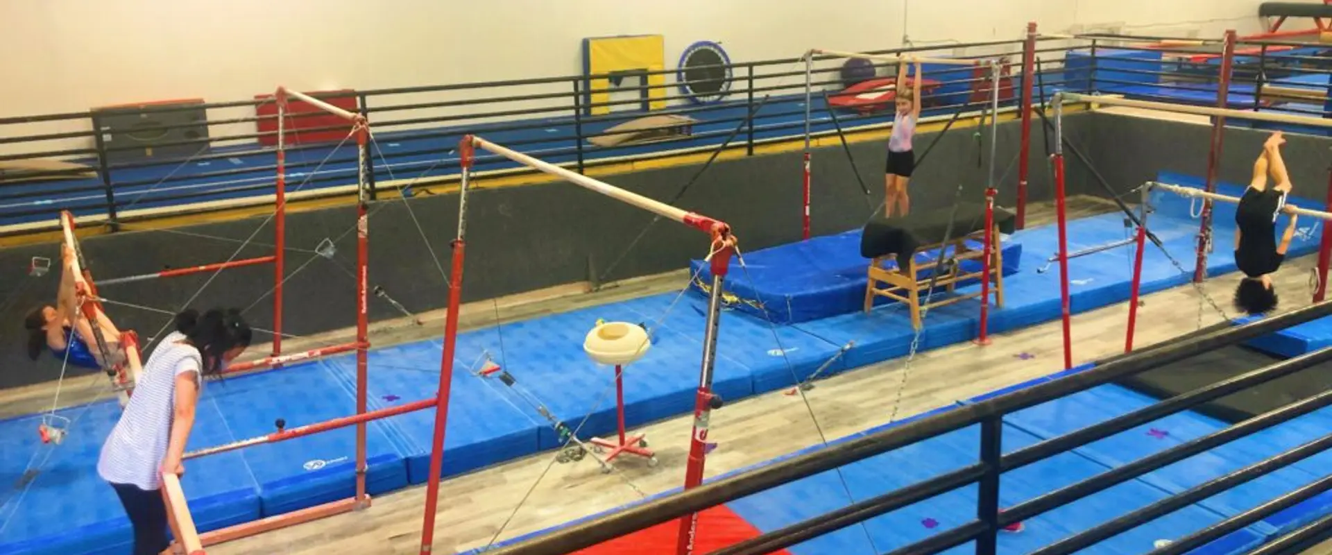 ASF Gymnastics