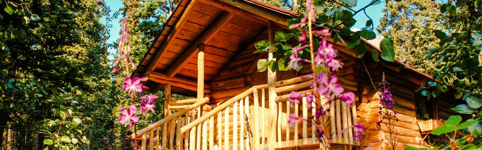 Tagish Wilderness Lodge