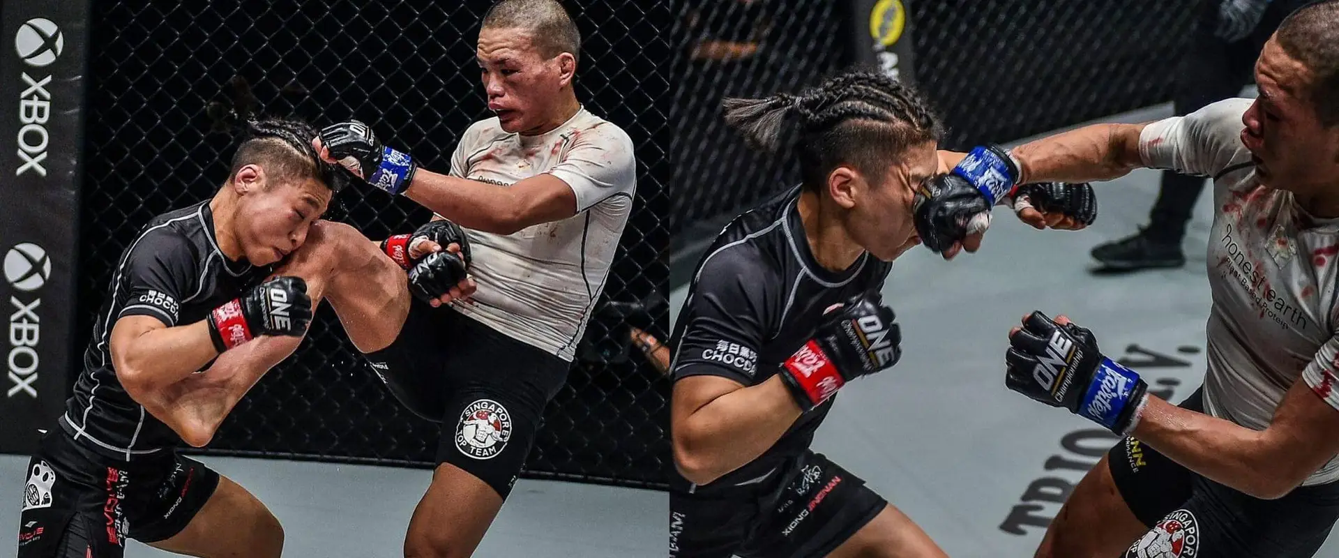 Matrix MMA - #1 MMA Gym In Singapore