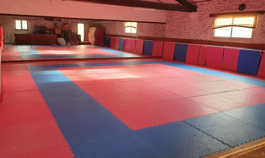 Okinawa Karate Club