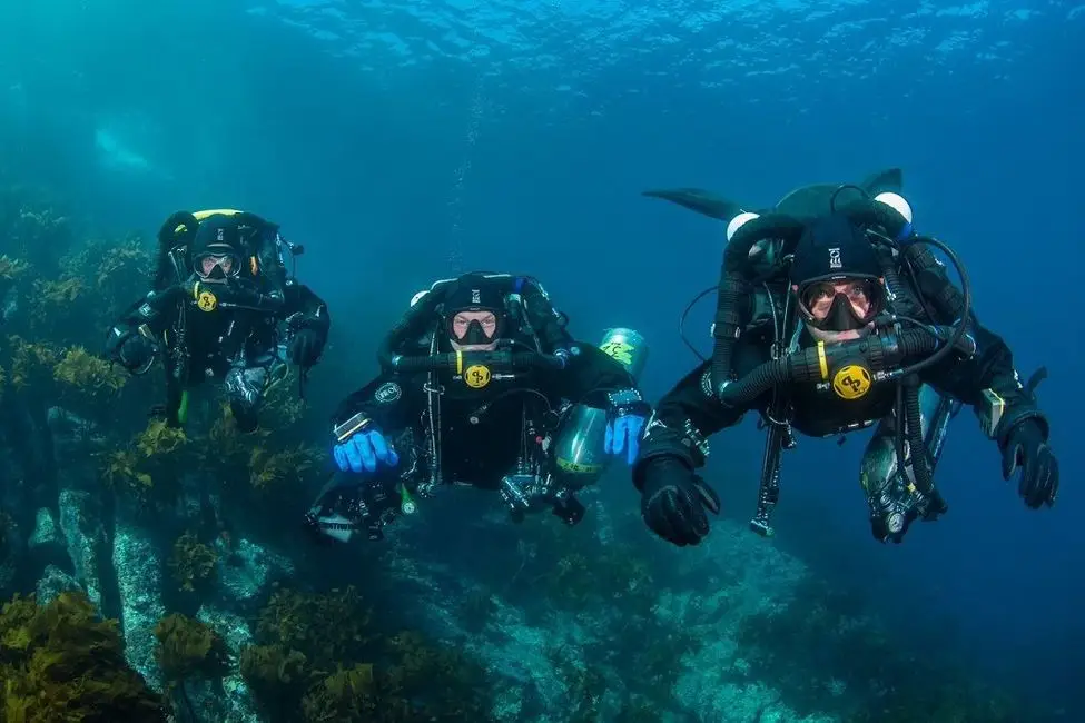 Global Dive